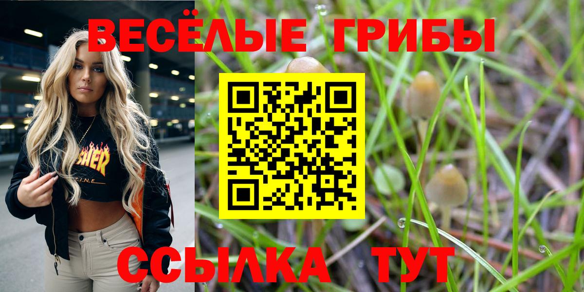 Псилоцибиновые грибы мицелий Рославль