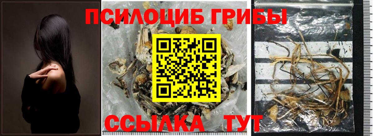 Галлюциногенные грибы Cubensis  Псилоцибиновые грибы Psilocybine cubensis  Вход с VPN  Рославль 